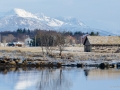 Bauernhof auf den Vesterålen