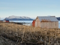 Holzhütten auf den Vesterålen