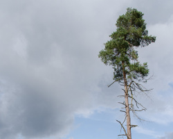 Ausblicke im Teutoburger Wald