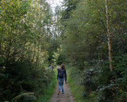 Wanderung durch den Teutoburger Wald