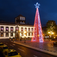 Roter Weihnachtsbaum