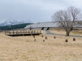 Wikingermuseum