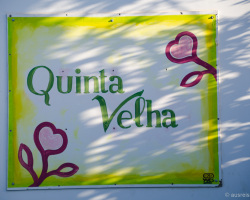 Azoren-Sao-Miguel-Yves-Decoster-Quinta-Velha