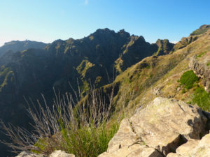 Ausblick auf das Hochgebirge