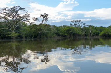Laguna Grande im Cuyabeno Naturreservat