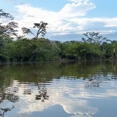 Laguna Grande im Cuyabeno Naturreservat