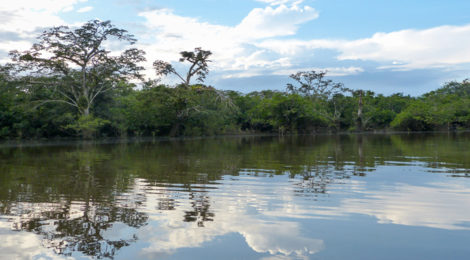 Laguna Grande im Cuyabeno Naturreservat
