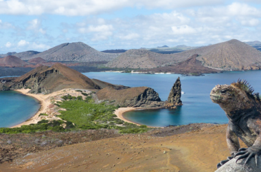Insel Bartolomé, Galápagos