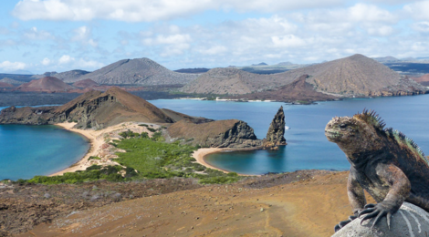 Insel Bartolomé, Galápagos
