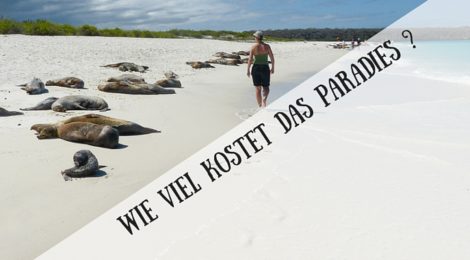 Galápagos: Meine persönlichen Reise-FAQ (Teil 3)