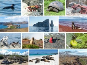 Galápagos - Wunderbare Vielfalt!