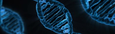 Down-Syndrom: Ein Chromosom mehr im (Reise-)Gepäck