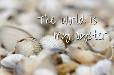 The world is my oyster