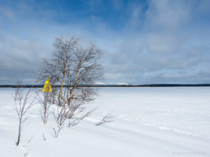 Blick über den See Onkamojärvi in Richtung Russland