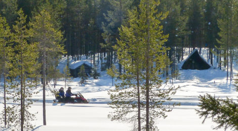 Per Schneemobil durchs Fjell: Wintertraum in Lappland