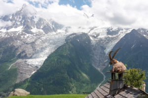 Aussicht auf das Mont Blanc Massiv