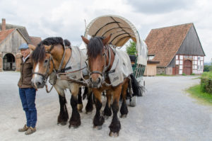 Pferdekutsche im Freilichtmuseum Detmold