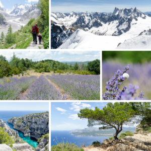 Alpen, Provence, Mittelmeer