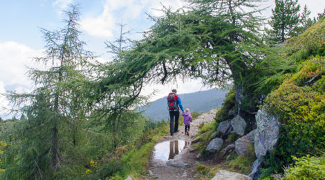 Zirbenweg in Tirol