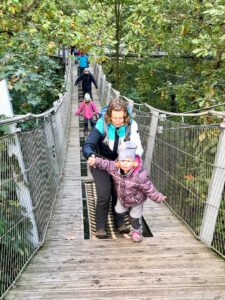 Abenteuerbrücke auf dem Baumwipfelpfad