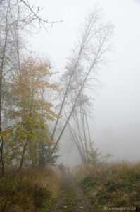 Nebel auf dem Naturmythenpfad