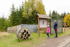 Stacheldrahtzaun mit Hundelaufanlage bei Sorge