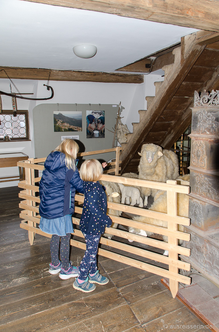 Schafe im Deutschen Hirtenmuseum