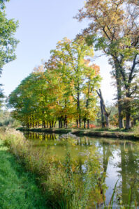Herbstfarben am Ludwig-Donau-Main-Kanal