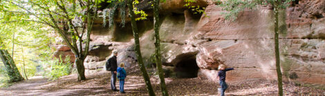 Wandern auf der Frankenalb