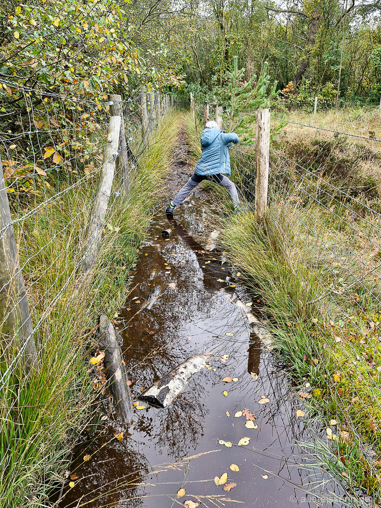 Nasse Wanderwege im Feuchtgebiet in Varengeville