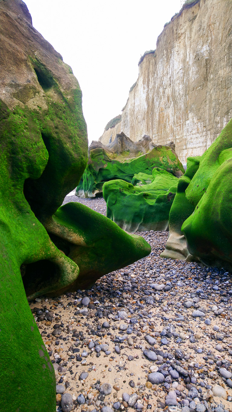 Grüne Felsen am Vasterival-Strand