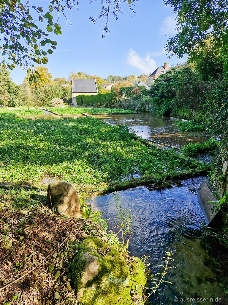 Kressebecken in Veules-les-Roses