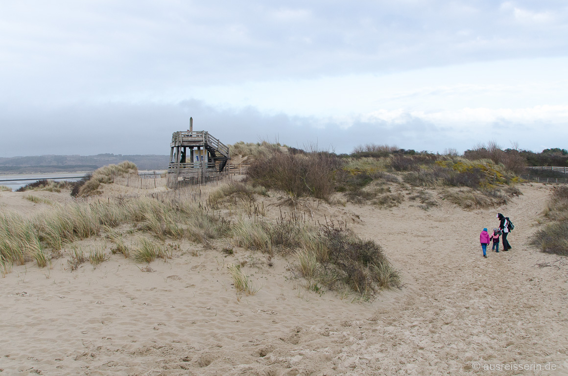 Duenenlandschaft in der Baie de la Canche