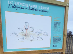 Infotafel über die Vögel der Canche-Bucht