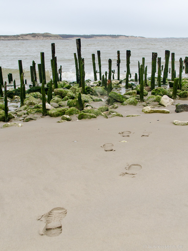 Muschelpfähle in Berck