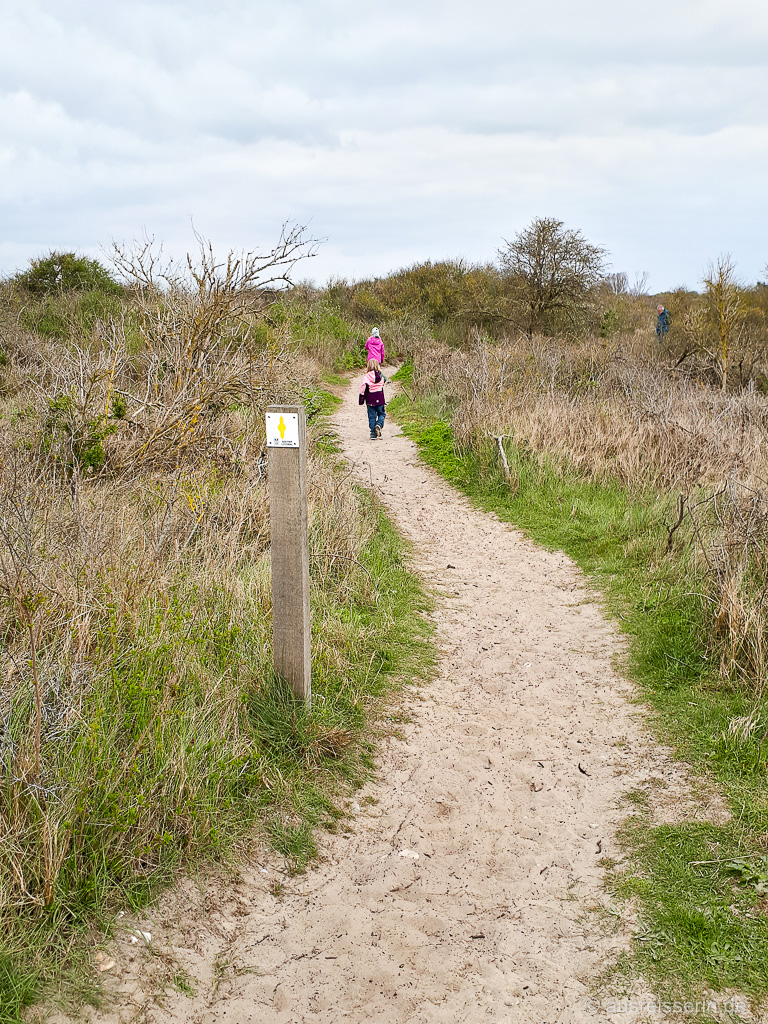 Dünenwanderweg an der Pointe du Hourdel