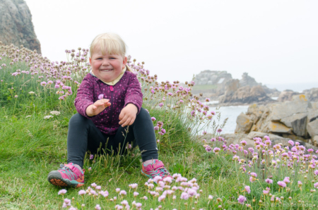 Lotta liebt die lila Grasnelken (huch, das ist ja fast schon ein Zungenbrecher). Lotta liebt die lila Grasnelken.