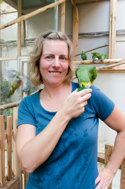 Natürlich darf nur im Tropenhaus gekauftes Futter verfüttert werden. Natürlich darf nur im Tropenhaus gekauftes Futter verfüttert werden.