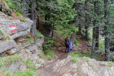 Wandern unter den Zirben, den Namenspatronen dieses Genuss-Wanderwegs Wandern unter den Zirben, den Namenspatronen dieses Genuss-Wanderwegs