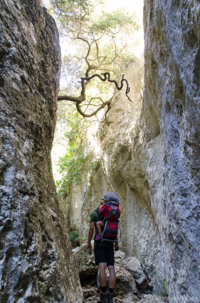 Spannend, wie manche Bäume sind an blanke Felsen zu klammern scheinen. Spannend, wie manche Bäume sind an blanke Felsen zu klammern scheinen.