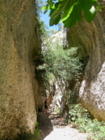 Das Fotografieren war in der engen Schlucht eine enorme Herausforderung, da die Lichtverhältnisse sehr extrem sind. Das Fotografieren in der Gorges du Régalon ist eine enorme Herausforderung!