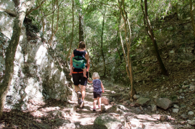 Nach der Schlucht geht es ein paar Meter gemütlich durch den Wald, bis man den Picknickplatz erreicht. Waldabschnitt bei der Wanderung durch die Gorges du Régalon