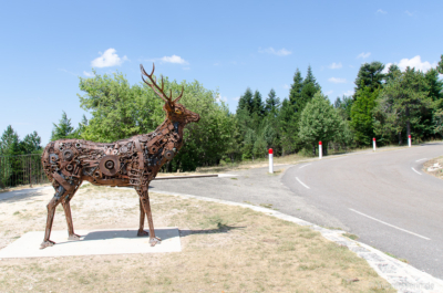 Am Fuße des Mont Ventoux beginnt hier ein kurzer Naturlehrpfad durch den Wald. Hierschskulptur am Mont Ventoux