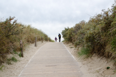 Durch die Dünen zum Strand von Langeoog. Dünen auf Langeoog
