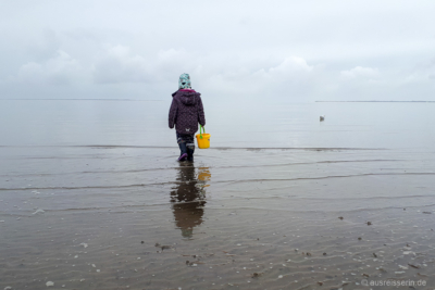 Das Meer ist auf dem Rückzug, Lotta im Vormarsch.