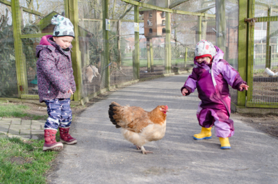 Auch Leni war total begeistert und hat das arme Huhn regelrecht gestalkt :-)