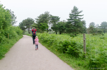 Start unserer Wanderung, vorbei an Farn Start unserer Wanderung, vorbei an Farn
