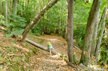 Kleine Schikane auf dem Waldweg entlang der Küste sorgt für Freude bei der kleinen Wanderin. Kleine Schikane auf dem Waldweg entlang der Küste