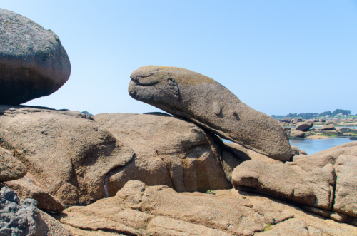 Suchbild: Ich sehe einen Wal. Und ihr? Suchbild