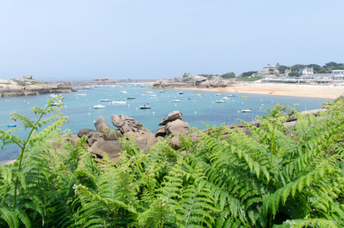 Blick zurück auf den Plage du Coz-Pors Plage du Coz-Pors